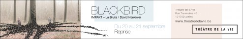 tdlv-16-17-banner-blackbird-avec-filet