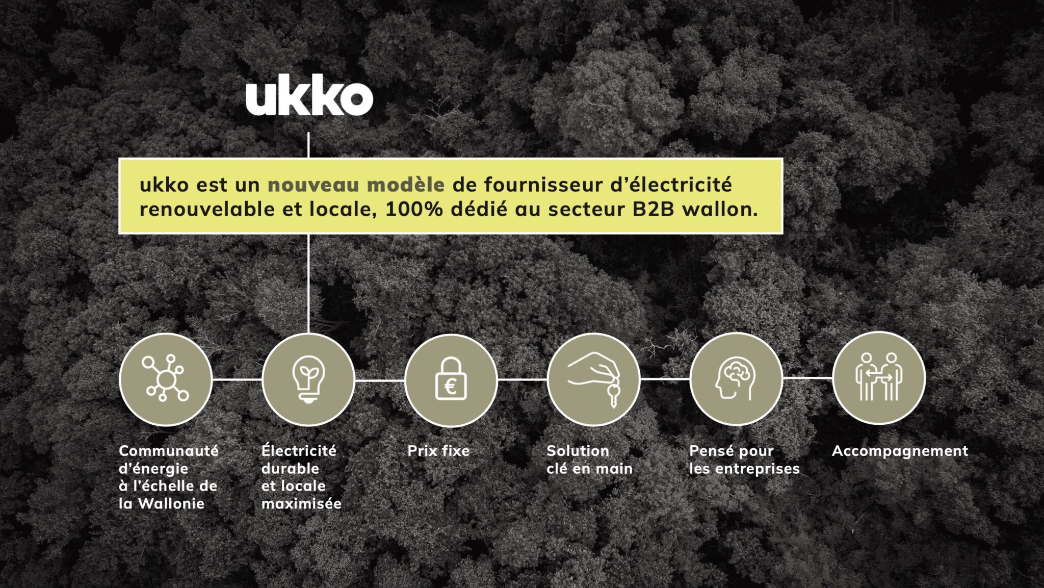 Présentation du fonctionnement de Ukko, nouveau fournisseur d'énergie verte, locale, pour les PME wallonnes, en plusieurs arguments.